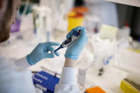 Dans un laboratoire de Copenhague, recherche pour élaborer un vaccin contre le coronavirus, le 23 mars 2020. THIBAULT SAVARY/AFP