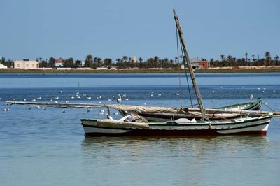 Le long de la côte de Kerkennah. L’archipel est situé au large de la ville tunisienne de Sfax. FETHI BELAID / AFP