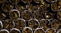 En Espagne, la police a annoncé avoir démantelé un vaste réseau de trafic de tabac qui exploitait des réfugiés ukrainiens. Crédit : Kiyoshi Ota/Bloomberg via Getty Images