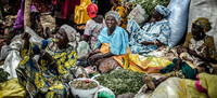 © FAO/Luis Tato Des femmes vendent des légumes dans un marché à Tanout, au Niger.