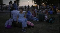 © Peter Dejong/AP | Des centaines de migrants ont été évacués du centre de Ter Apel aux Pays-Bas, devant lequel ils dormaient. Photo datée du 25 août 2022