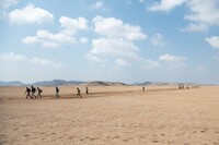 Les migrants traversant Djibouti bravent les rudes conditions désertiques, souvent sans nourriture ni eau en quantité suffisante, au cours de leur périple le long de la dangereuse route de l'Est. Photo : OIM 20222022