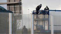 Des migrants montent à bord d'un camion sur l'autoroute A16 qui mène au tunnel sous la Manche, près de Calais, le 17 décembre 2020. Crédit : Reuters