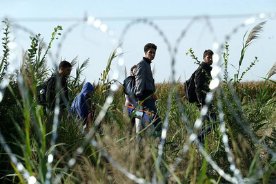 Migrants en Hongrie près de la frontière serbe, 25 août 2015 | Photo: Gémes Sándor/SzomSzed, Wikimédia (CC BY-SA 3.0)