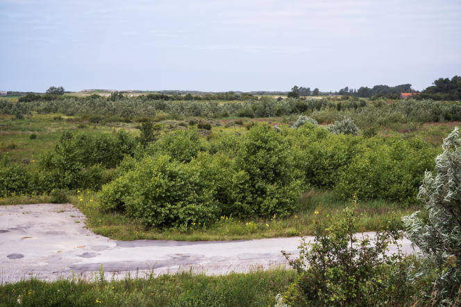 calais 072021 gratacap 12